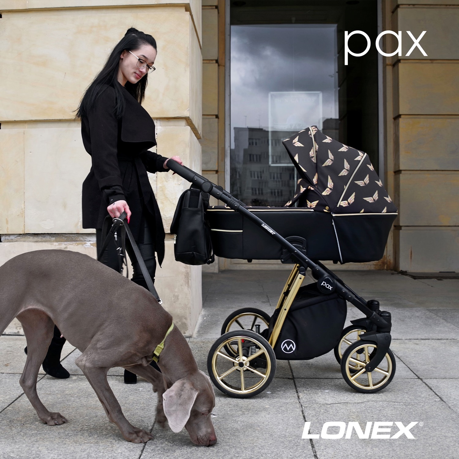 lonex pax wings czarno złoty wózek sklep dadi-shop